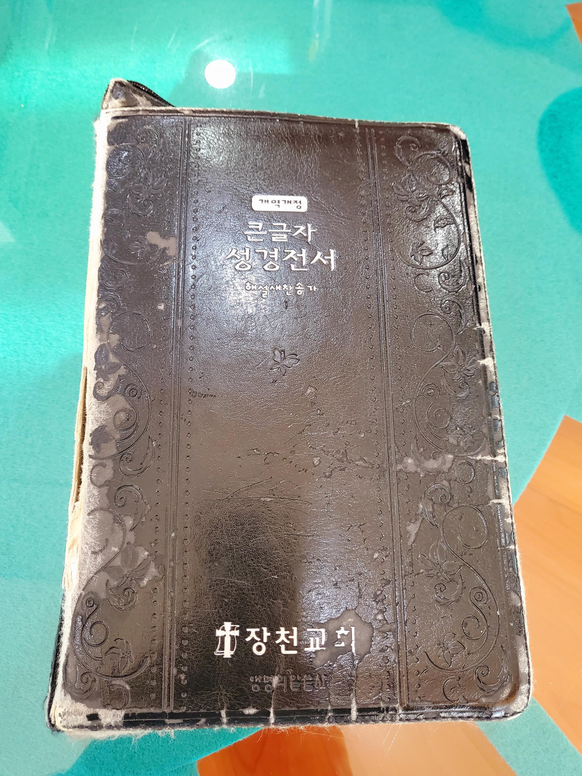 ☆ 창립 119주년 기념주일 풍경 ☆ 119년의 긴~역사속에 함께하신 하