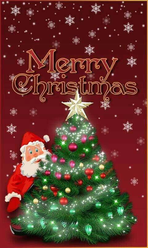 성탄축하 행사~♡ Merry Christmas~~♡ . 아기 예수님의 탄