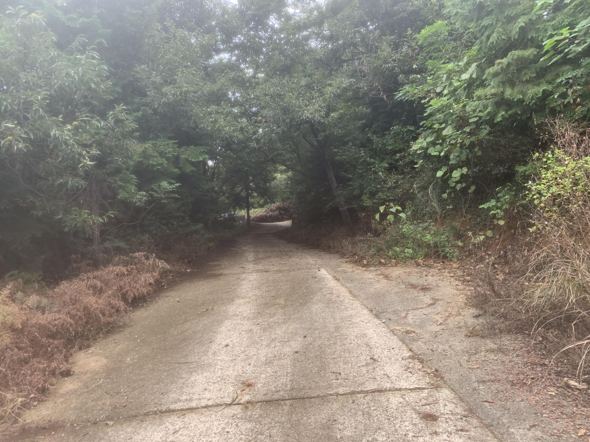 교회동산 벌초 작업 교회동산(공원묘지) 벌초하기 장로님 집사님들 나오셔서