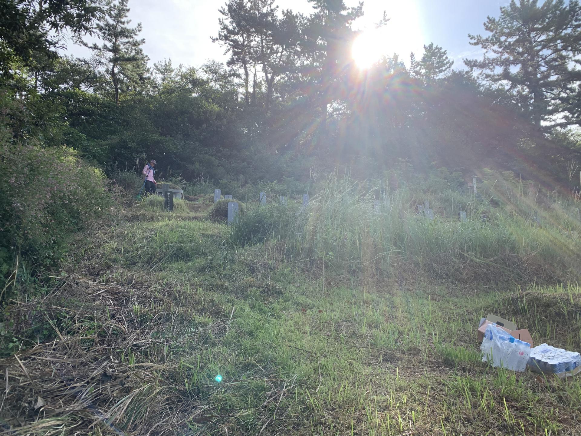 교회동산 벌초 작업 교회동산(공원묘지) 벌초하기 장로님 집사님들 나오셔서